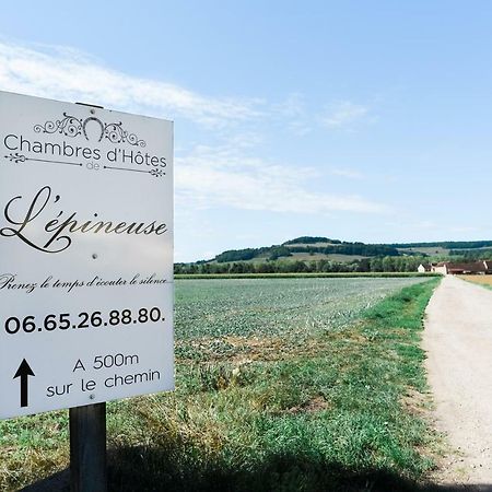 Chambre D'Hote L'Epineuse Venarey-les-Laumes エクステリア 写真