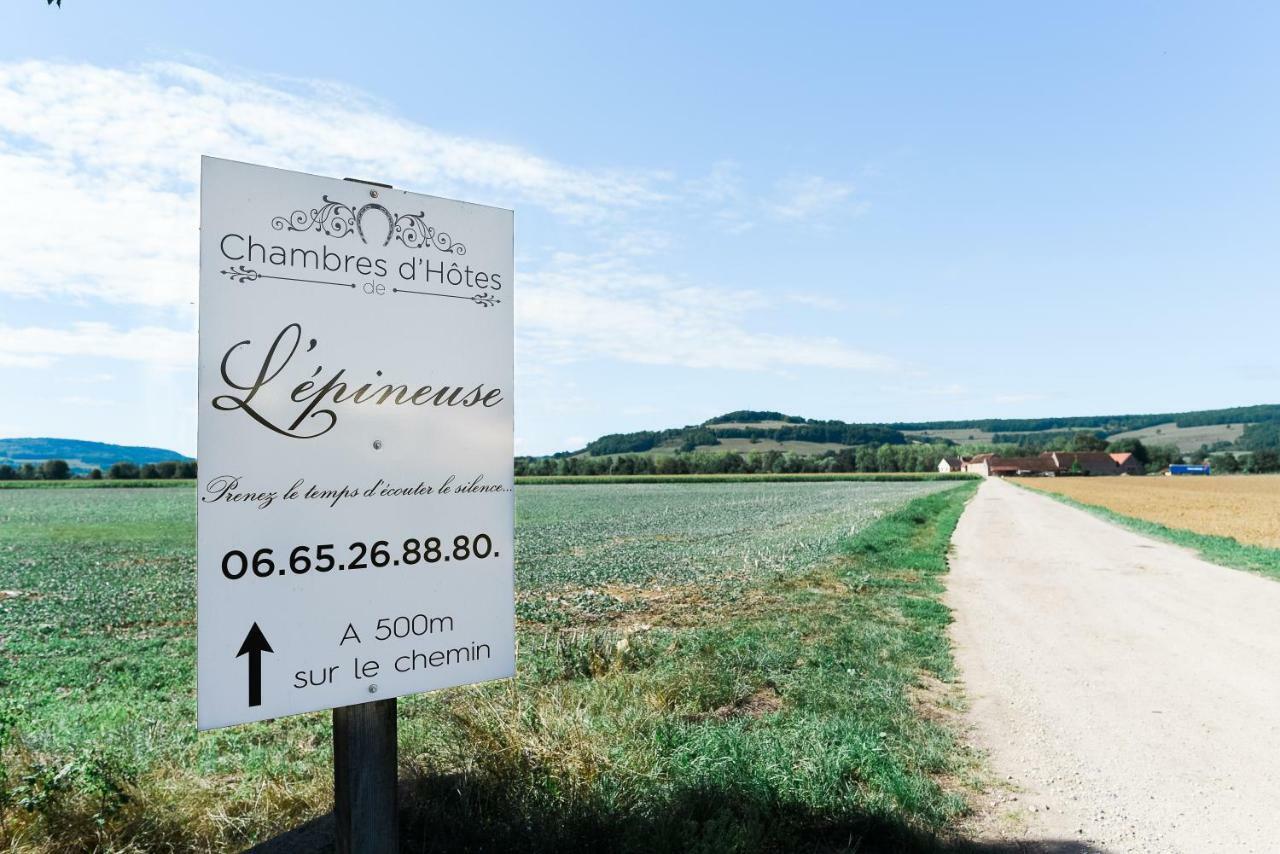 Chambre D'Hote L'Epineuse Venarey-les-Laumes エクステリア 写真